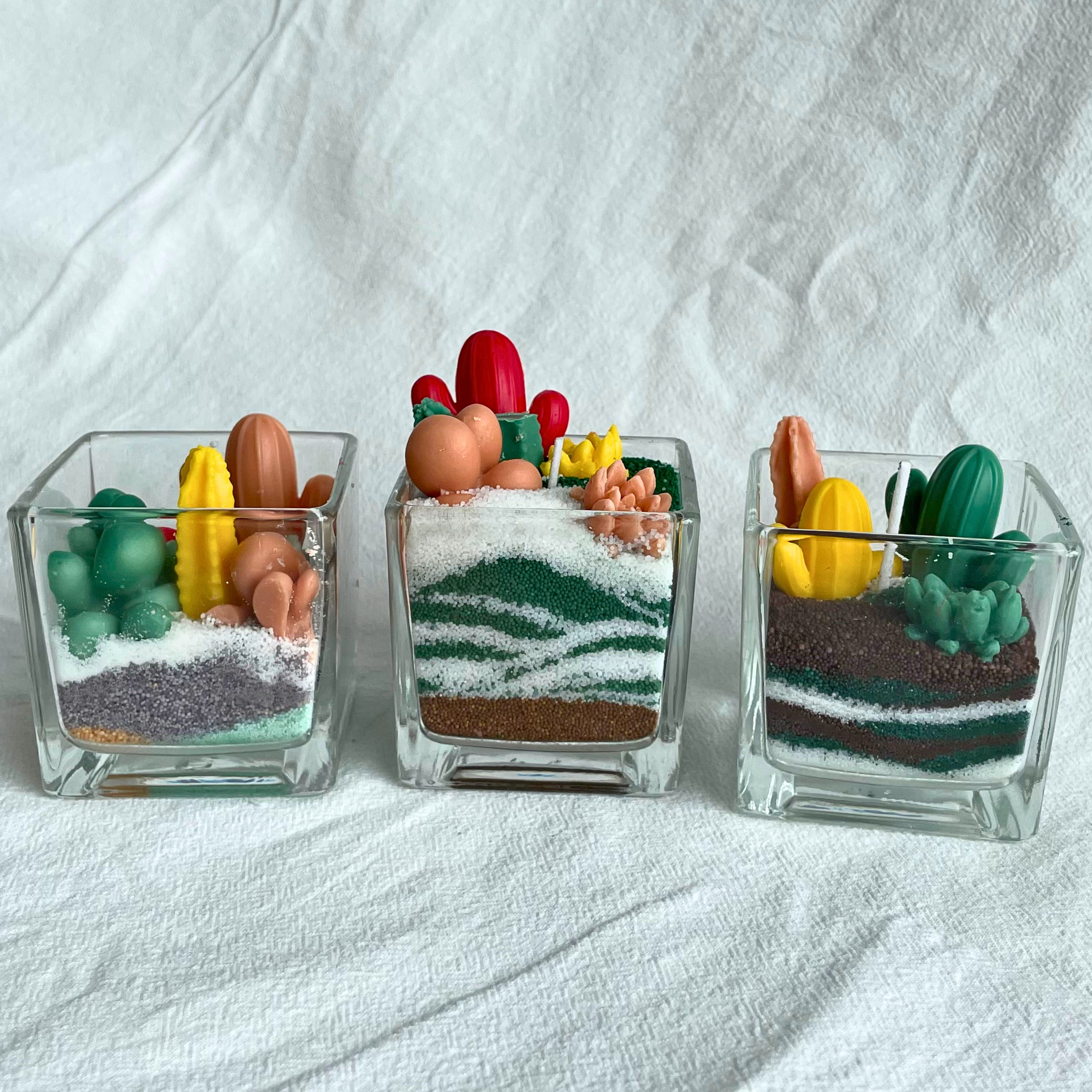 Cactus Candle (3)